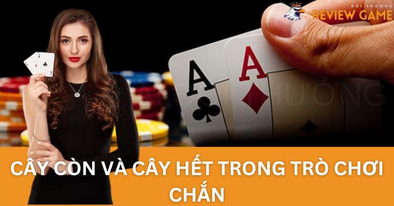 Tổng quan về cây còn và cây hết trong bài Chắn